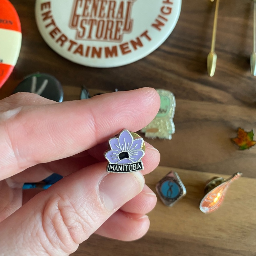 Pin and Badge Collection - Picture 7 of 7